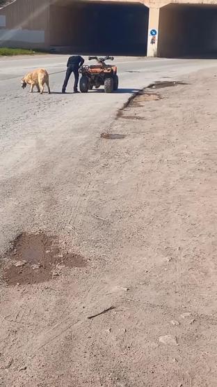 Kan donduran görüntüler Köpeği ATVye bağlayıp metrelerce sürükledi