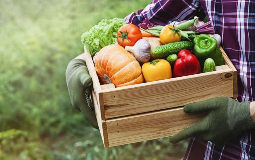 Karaciğer temizliyor Potasyum, kalsiyum, A , B1 ve C vitamini deposu... Şimdi tüketmenin tam zamanı