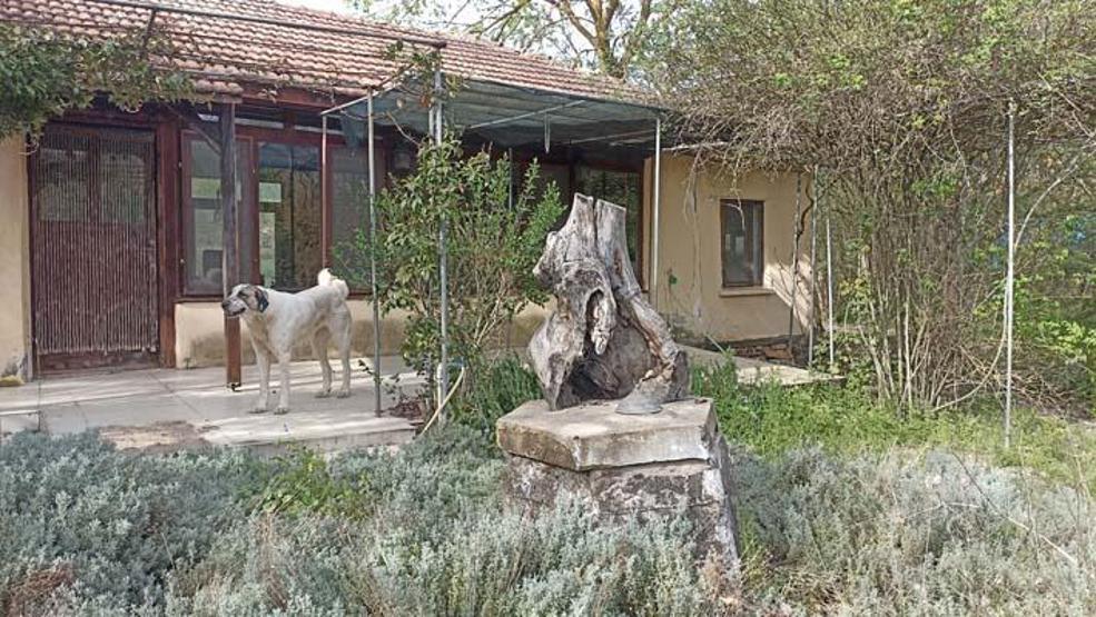 Korhan Hocadan 300 gündür haber yok: Umudumuz kalmadı