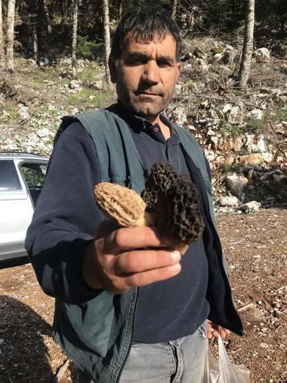 Birçok derde deva Doğada nadir bulunuyor, kilogramı 600 TLden satılıyor. Faydalarını duyunca çok şaşıracaksınız