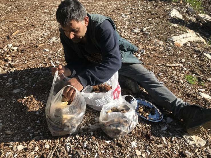 Birçok derde deva Doğada nadir bulunuyor, kilogramı 600 TLden satılıyor. Faydalarını duyunca çok şaşıracaksınız