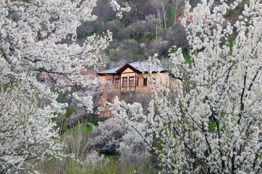 Tarihi mahallede bahar manzarası Gören hayran kalıyor