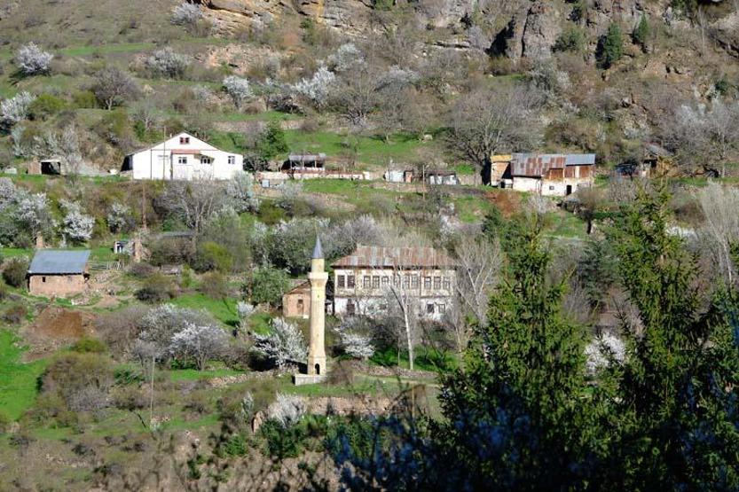 Tarihi mahallede bahar manzarası Gören hayran kalıyor
