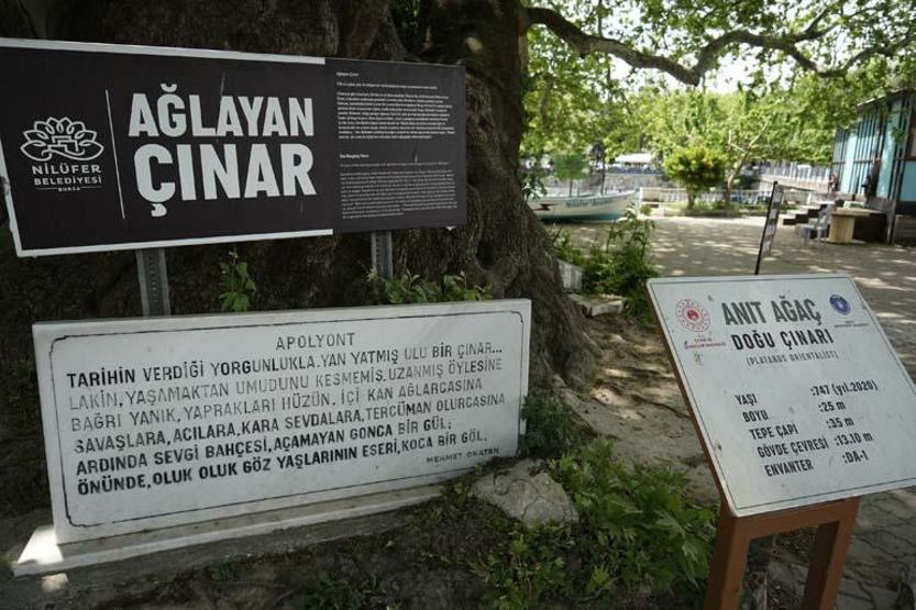 Tarihi ve doğasıyla ünlenen Gölyazı turistleri bekliyor