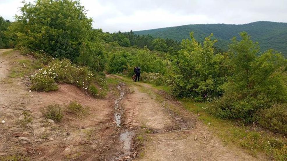 DNA örnekleri kızıyla eşleşmişti Korhan Berzegin ölümüyle ilgili yeni gelişme
