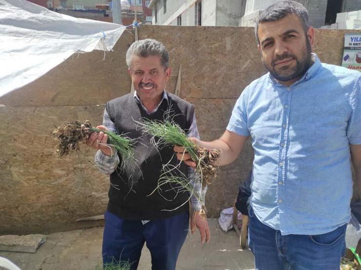 Kalp ve damar dostu olarak biliniyor Batmanda yetişiyor, fiyatını duyan dönüp bir daha bakıyor