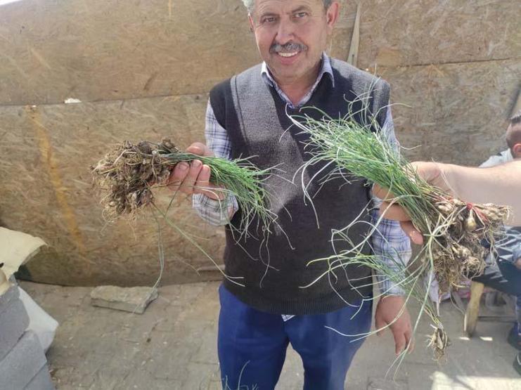 Kalp ve damar dostu olarak biliniyor Batmanda yetişiyor, fiyatını duyan dönüp bir daha bakıyor