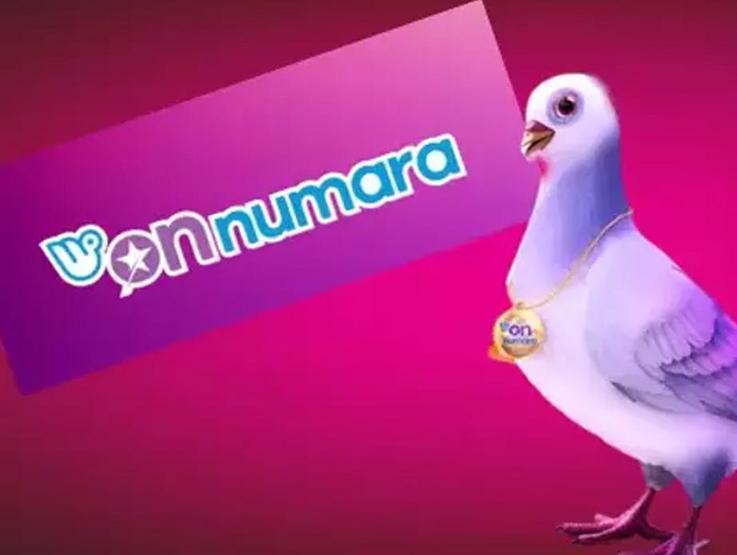 On Numara sonuçları açıklandı Milli Piyango Online 10 Mayıs 2024 On Numara sonuç sorgulama ‘Büyük ikramiye 288.5 bin TL’