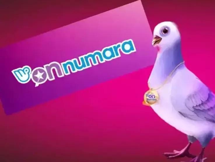 On Numara sonuçları açıklandı Milli Piyango Online 17 Mayıs 2024 On Numara sonuç sorgulama