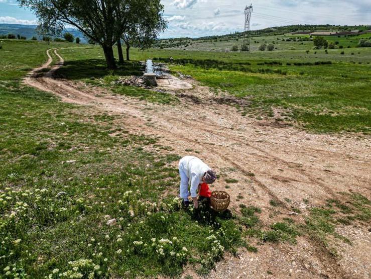 Oğlunun ölümüyle kendini doğaya verdi: 41 çeşit çiçekten hazırlıyor, şifası saymakla bitmiyor