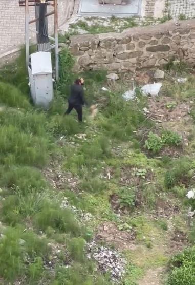 Trabzonda vahşet: Yavru kediyi ezerek öldürdü İfadesi pes dedirtti