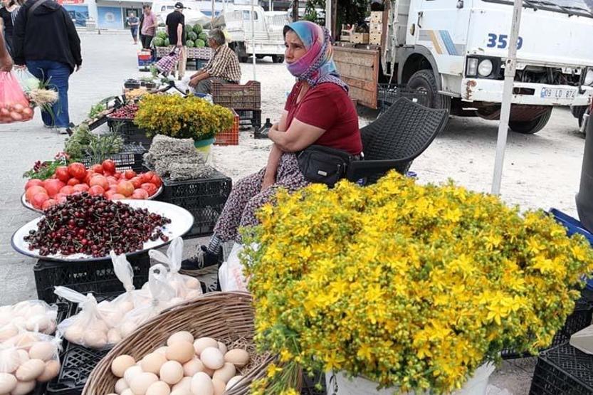 Tüm zamanların en şifalı bitkisi ‘Kantaron’ zamanı