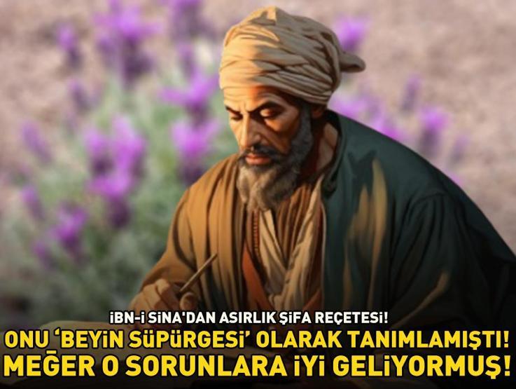 İbn-i Sinadan asırlık şifa reçetesi Beyin süpürgesi olarak tanımlamıştı Bakın nelere iyi geliyormuş...