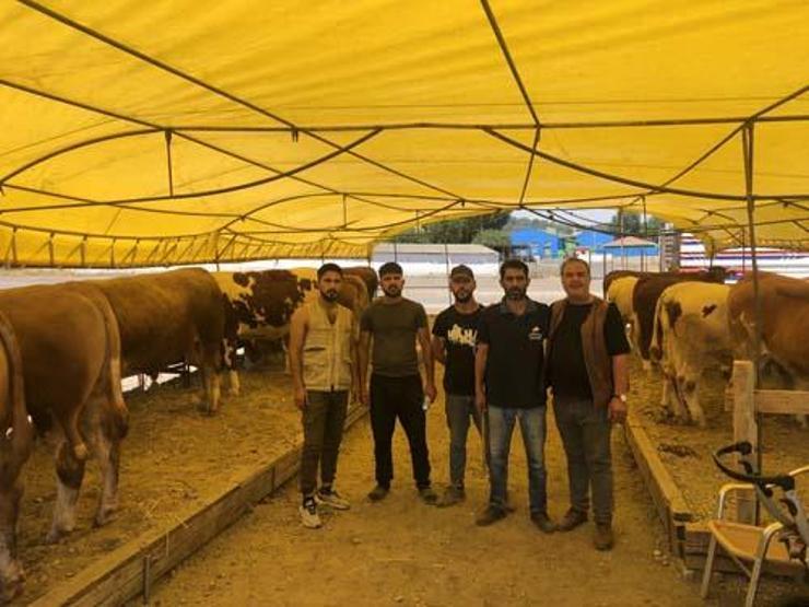 800 kiloluk Paşa alıcı bekliyor