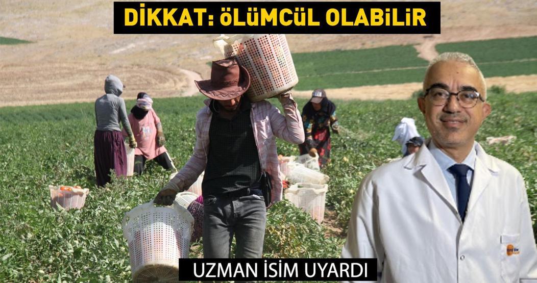 Kardiyoloji doktoru uyardı: Ölümcül olabilir Adanada sıcaklık arttı, risk başladı Özellikle 65 yaş üstü ve...