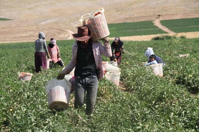 Kardiyoloji doktoru uyardı: Ölümcül olabilir Adanada sıcaklık arttı, risk başladı Özellikle 65 yaş üstü ve...