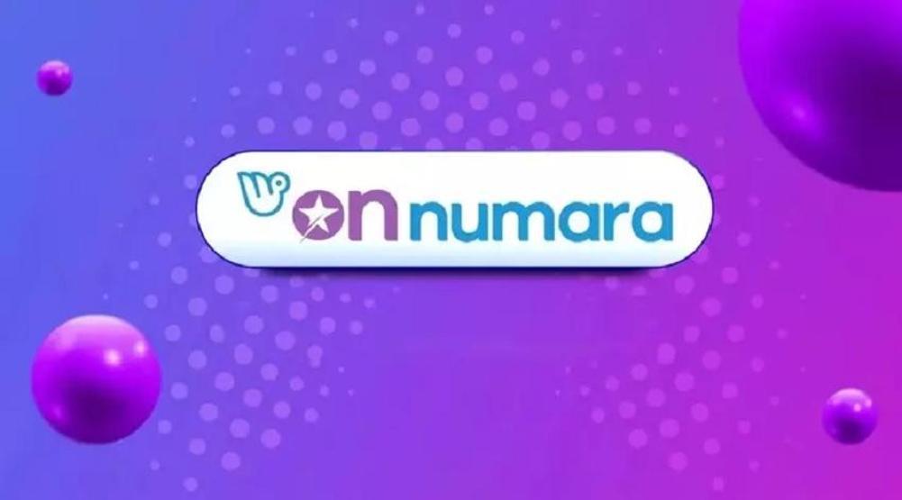 ON NUMARA SONUÇLARI AÇIKLANDI 7 HAZİRAN 2024 Milli Piyango Online On Numara sonuç sorgulama ekranı