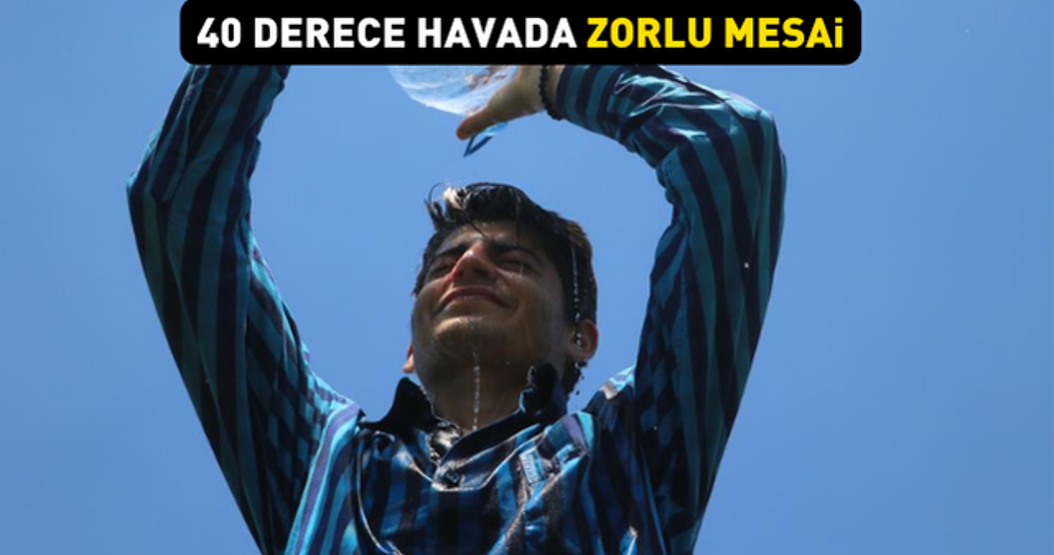 40 derece sıcakta bereketli hasat Rusya ve Gürcistana ihraç ediliyor