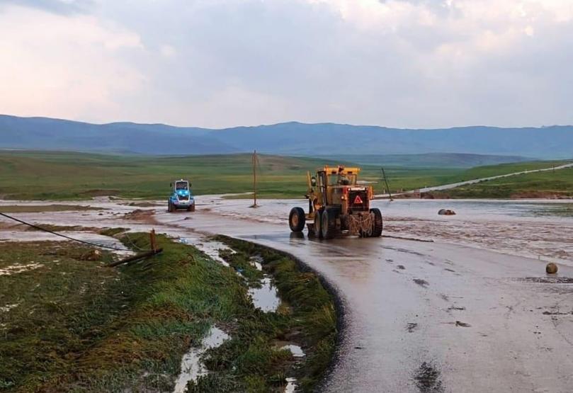 Vanda sağanak sele döndü 52 hayvan telef oldu, 10 ev hasar gördü