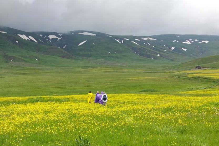 Görülmesi gereken eşsiz yerlerden biri: Gümüşhane dağları baharın renklerine büründü