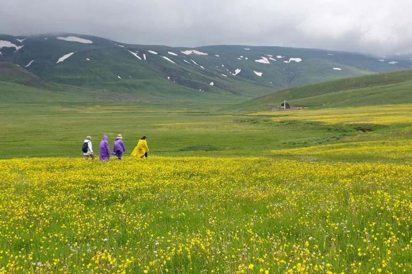 Görülmesi gereken eşsiz yerlerden biri: Gümüşhane dağları baharın renklerine büründü