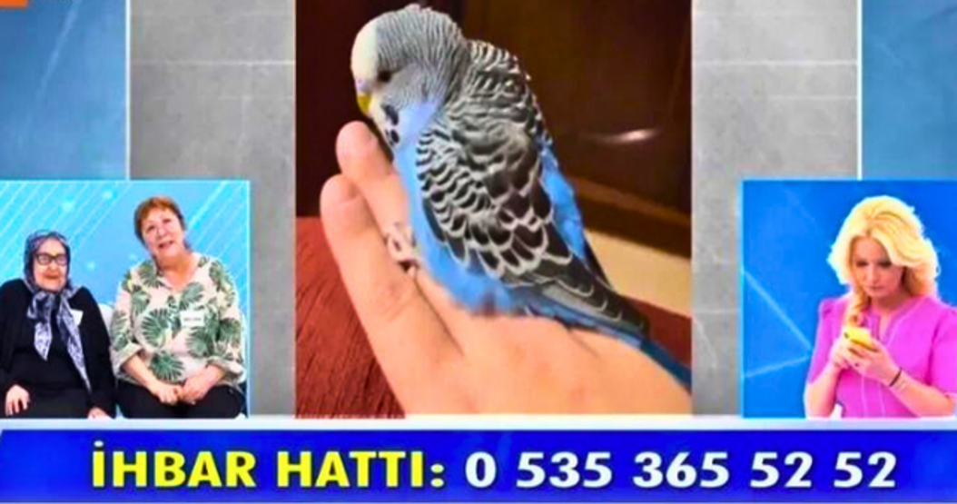 Kim Milyoner Olmak İstere Müge Anlı sorusu damga vurdu