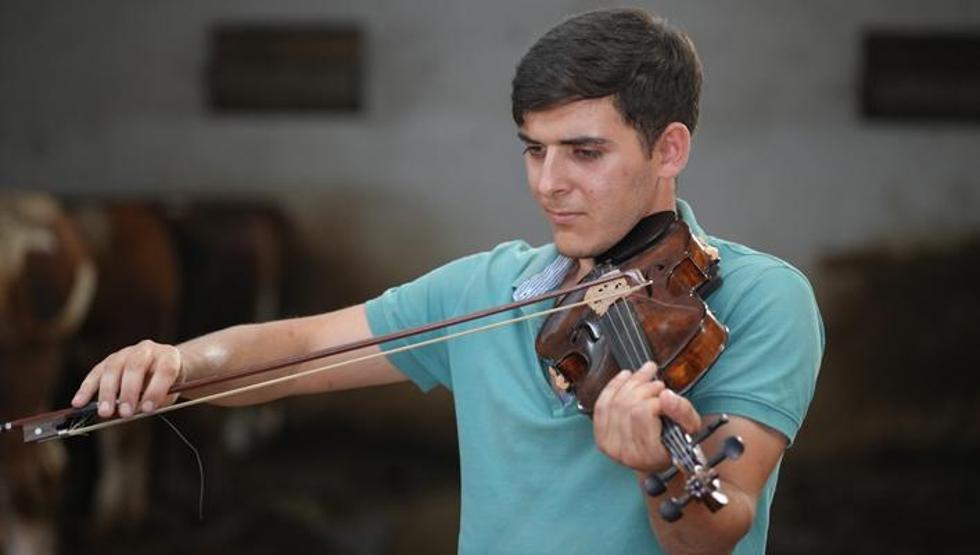 Keman sesiyle bayramı bekleyen kurbanlıklar