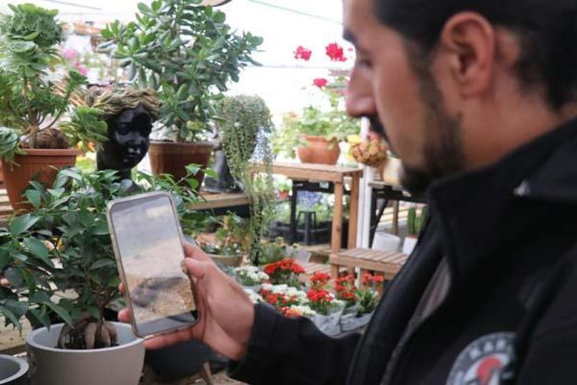 O ilde yaşayanlar dikkat Dünyanın en zehirli türlerinden biri