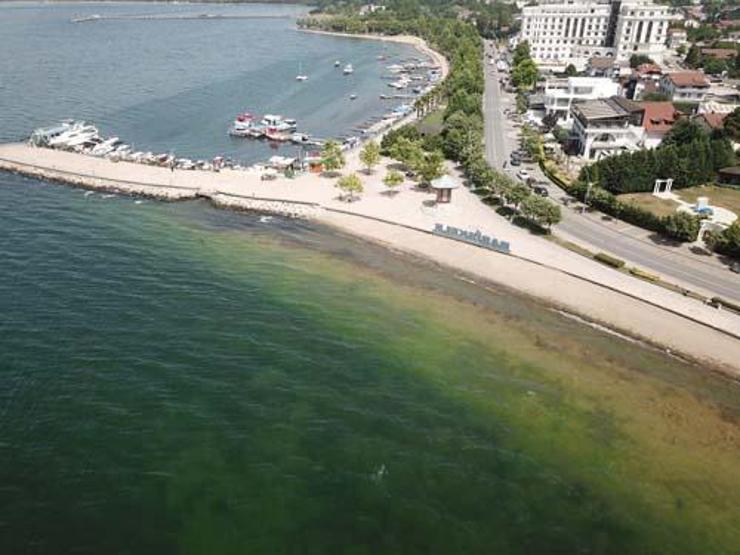 Endişeye sebep oldu: Fotoğraflar İzmit Körfezinden