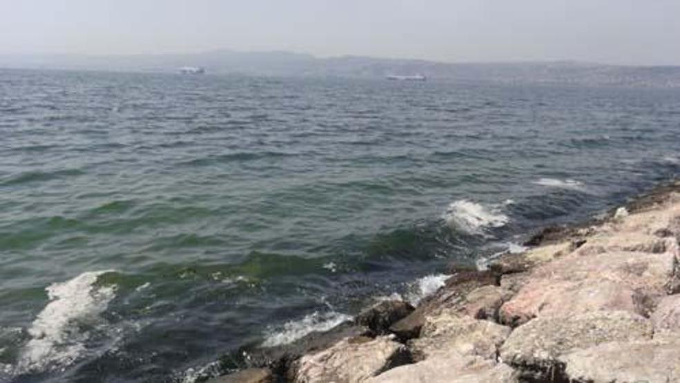 Endişeye sebep oldu: Fotoğraflar İzmit Körfezinden