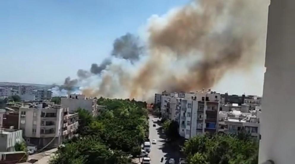 Siverekte çıkan yangında 100 dönüm arazi kül oldu