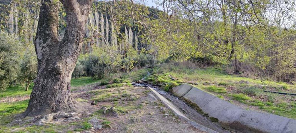 Türkiyenin 23. doğa harikası Güney Şelalesi ziyaretçilerini bekliyor