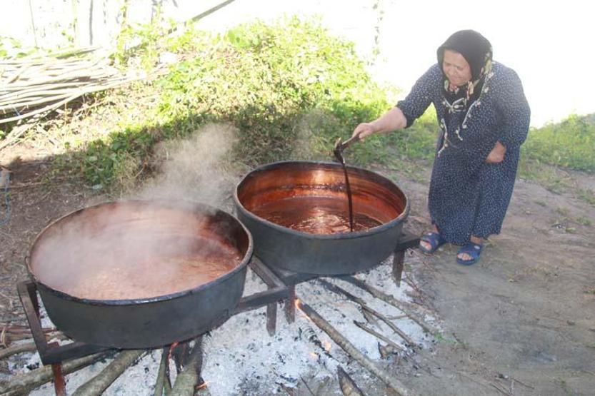 Ordulu kadınların dut pekmezi mesaisi