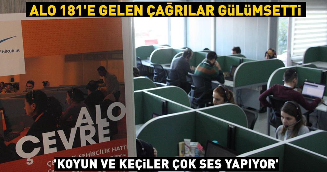 ALO 181e gelen çağrılar gülümsetti Koyun ve keçiler çok ses yapıyor