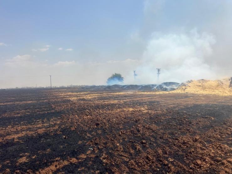 Mardin’de aynı tarlada 4’üncü yangın: Bin 500 ton saman alev alev yandı