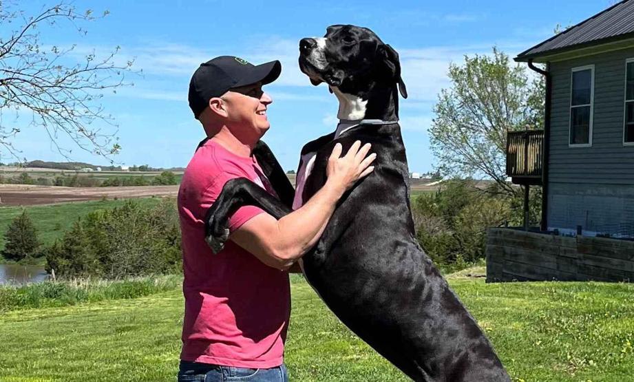 Dünyanın en uzun köpeği öldü