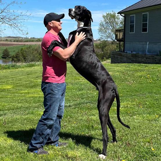 Dünyanın en uzun köpeği öldü