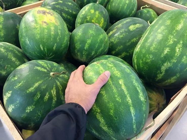 Neredeyse herkes bu hatayı yapıyor Karpuzu buzdolabına böyle koyan yandı: Kir, mikrop ve bakteriler...