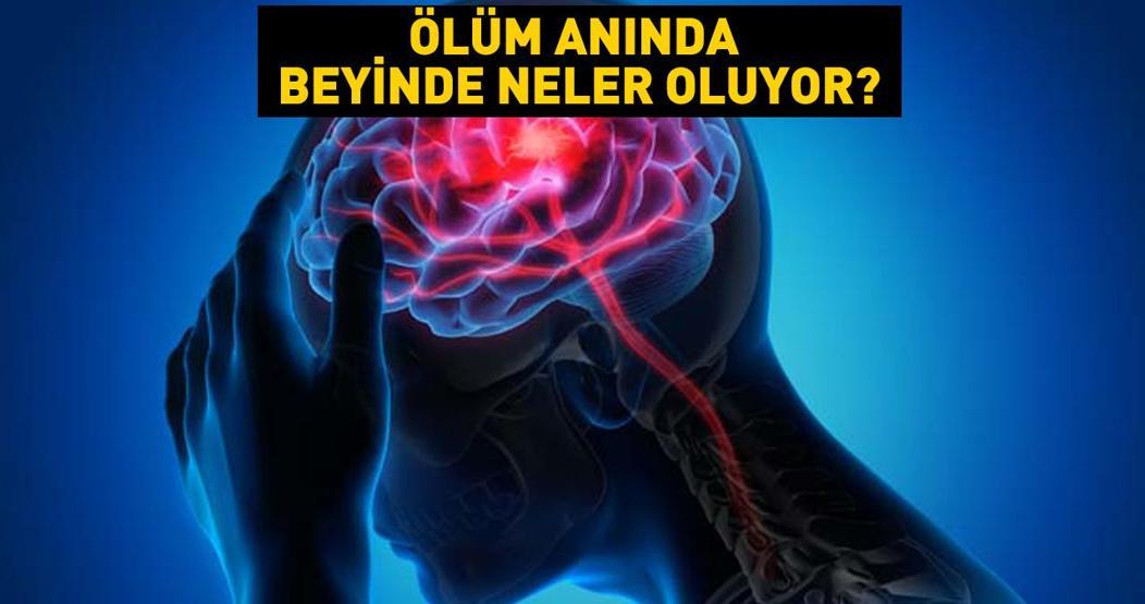 Ölüm anında beyinde neler oluyor