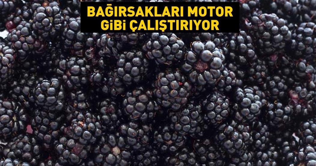 Bağırsakları motor gibi çalıştırıyor Karpuzundan semizotuna işte vücudu serinleten besinler listesi... Böyle tüketirseniz...
