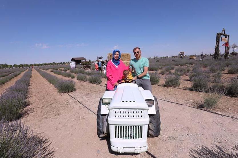 Karatay Lavanta Bahçesi görsel şölen sunuyor