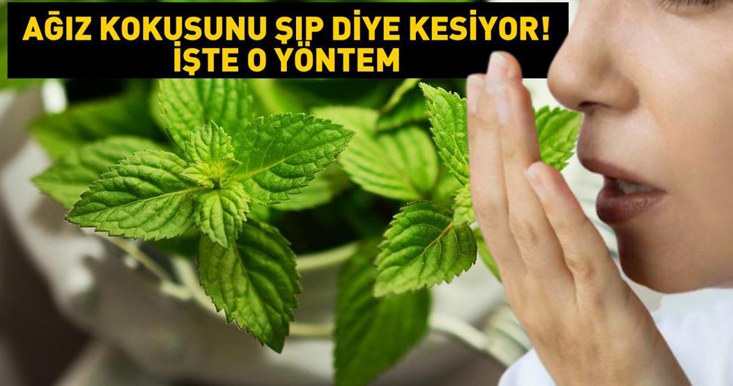 Ağız kokusunu şıp diye kesiyor Nefesi doğal yollarla temizliyor...