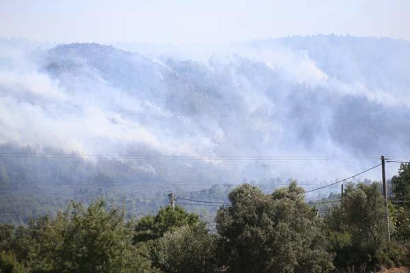 SON DAKİKA HABERİ: Bodrumda orman yangını
