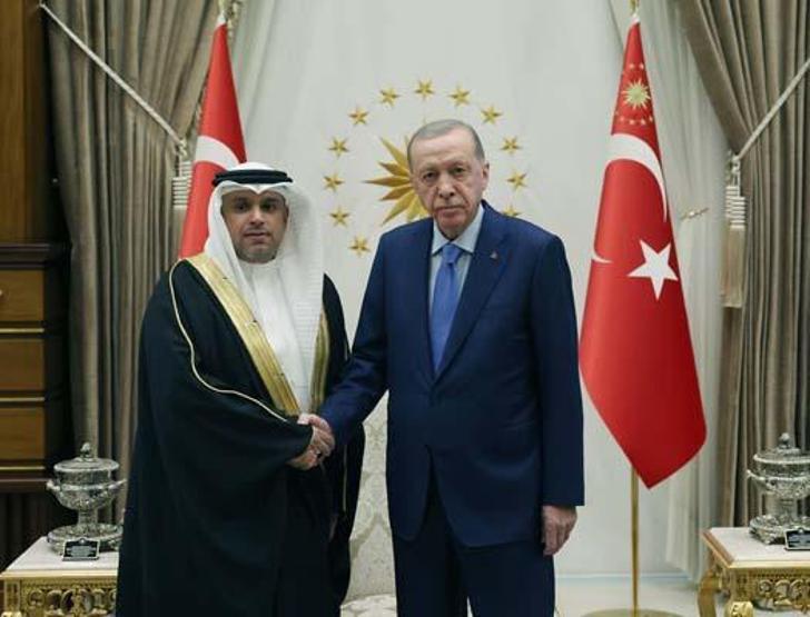 Cumhurbaşkanı Erdoğan, güven mektuplarını kabul etti