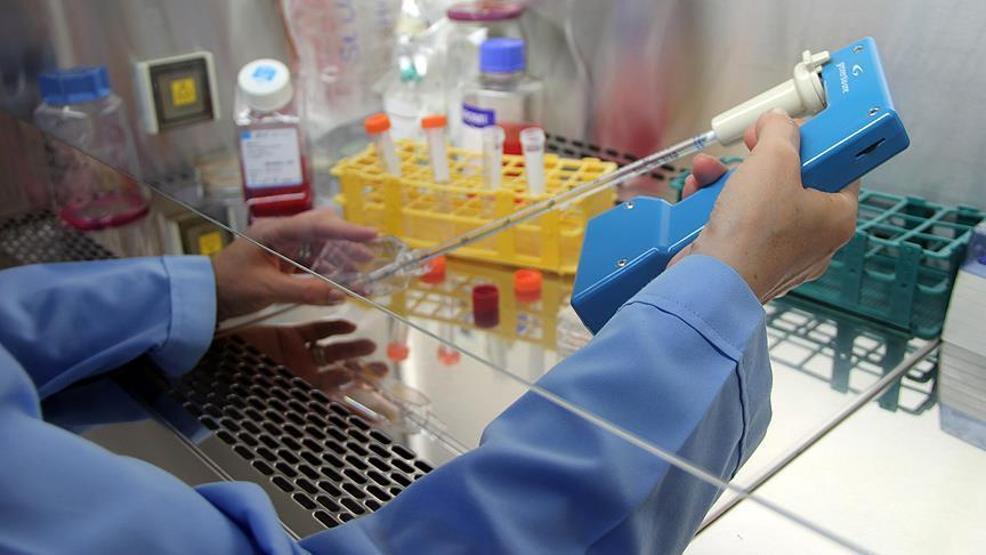 Kanser tedavisinde yeni sayfa açabilecek gelişme: Yüzde 95 başarı oranına ulaşıldı