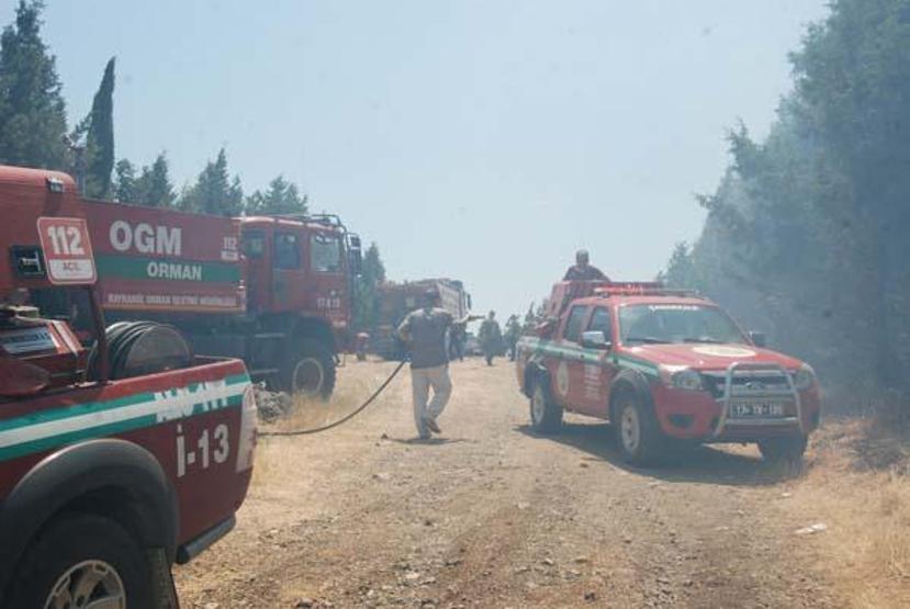 Çanakkalenin Bayramiçte orman yangını