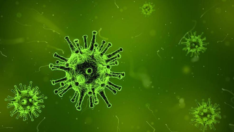 Nipah virüsü alarmı Hindistanda ilk ölüm gerçekleşti