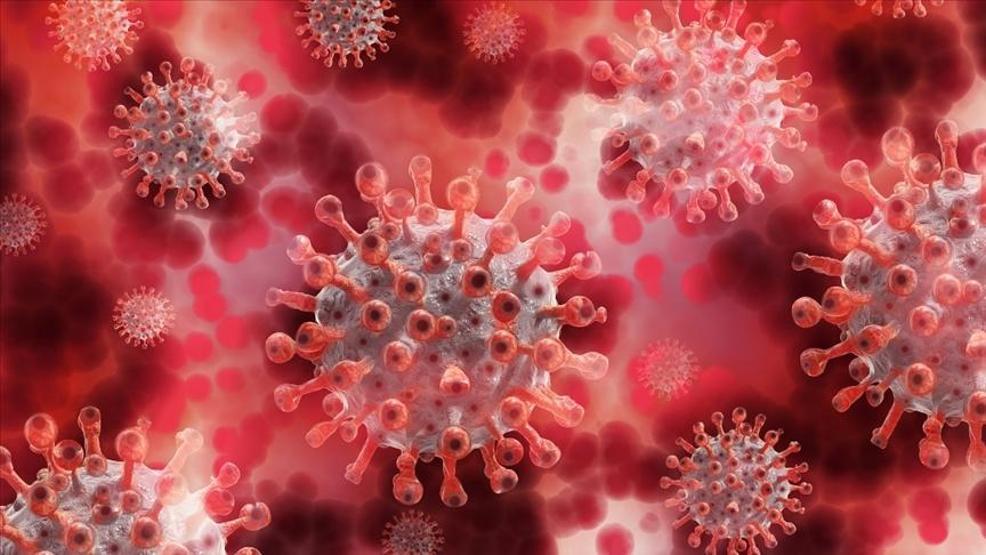 Nipah virüsü alarmı Hindistanda ilk ölüm gerçekleşti