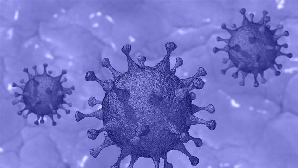 Nipah virüsü alarmı Hindistanda ilk ölüm gerçekleşti