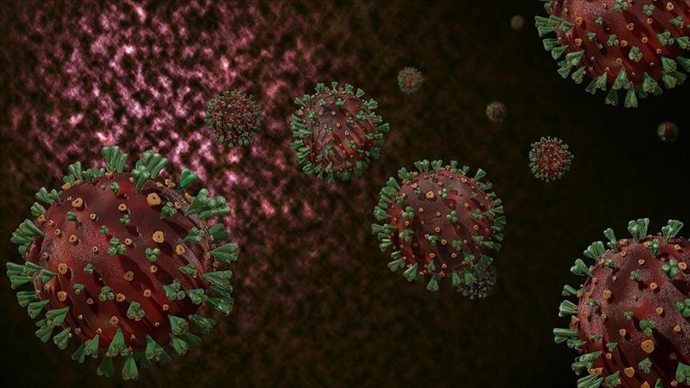 Nipah virüsü alarmı Hindistanda ilk ölüm gerçekleşti